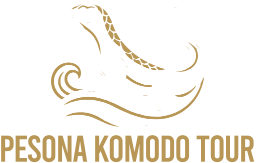 Pesona Komodo Wisata
