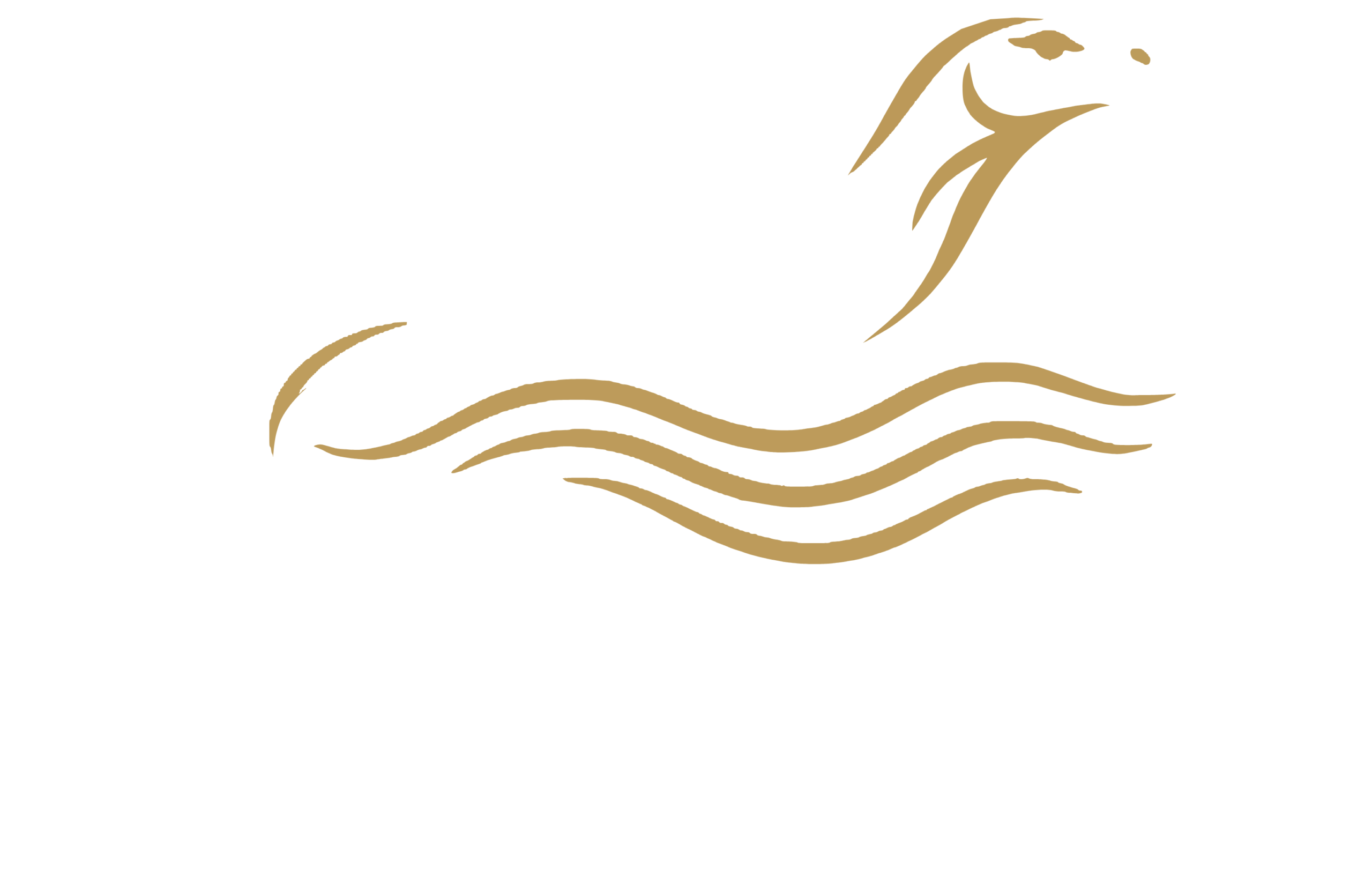 Pesona Komodo Wisata